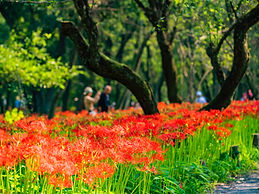pixta_58071482_M.jpg