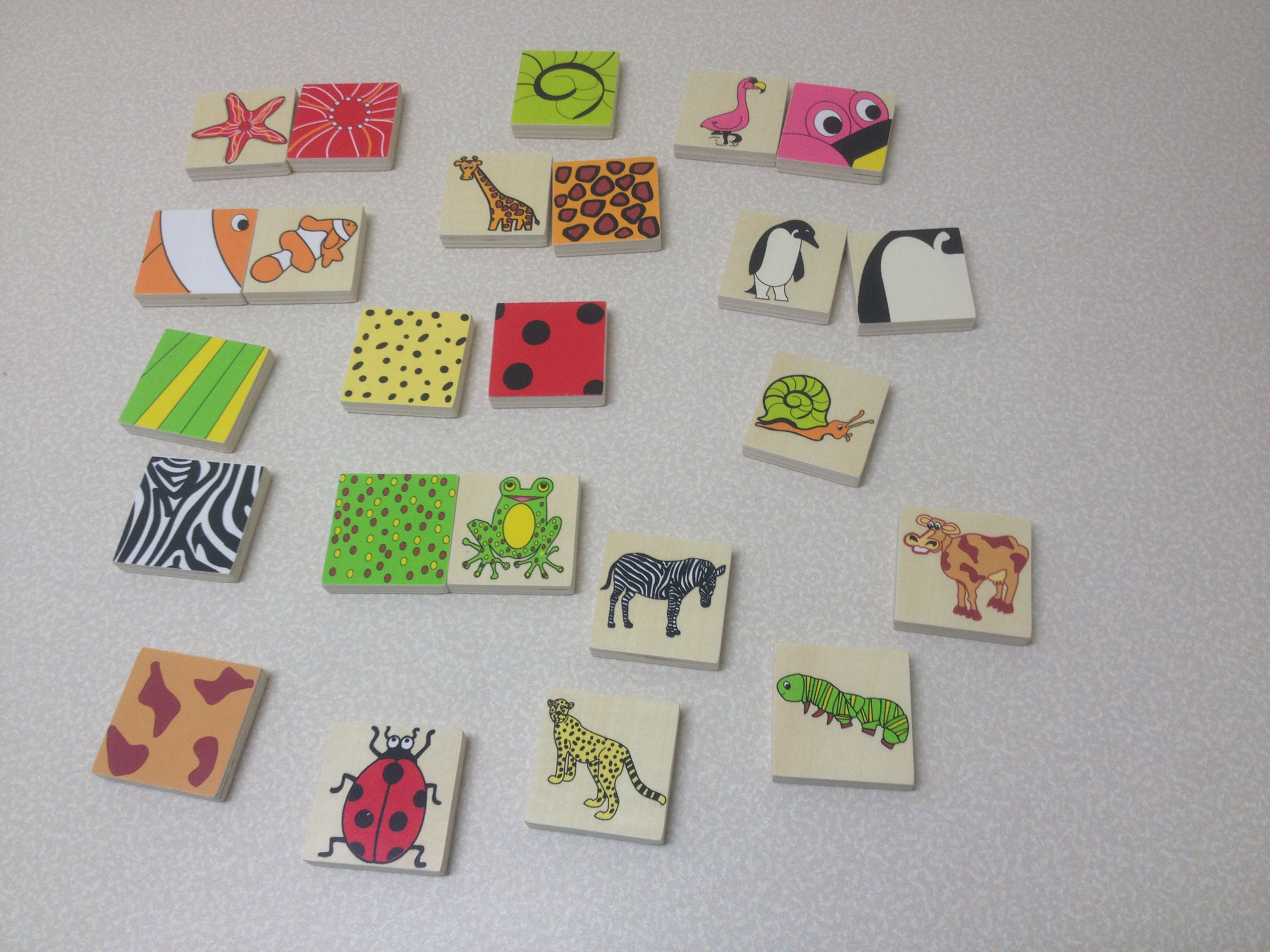 Matching Animal Blocks