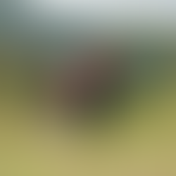 Motorcycle Tour Company Start-Up