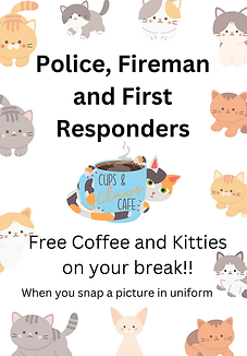 Copy of Cute Cat Illustration Stationery A4 Document.png