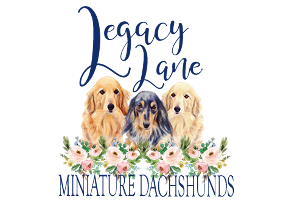 Legacy Lane Miniature Dachshunds logo