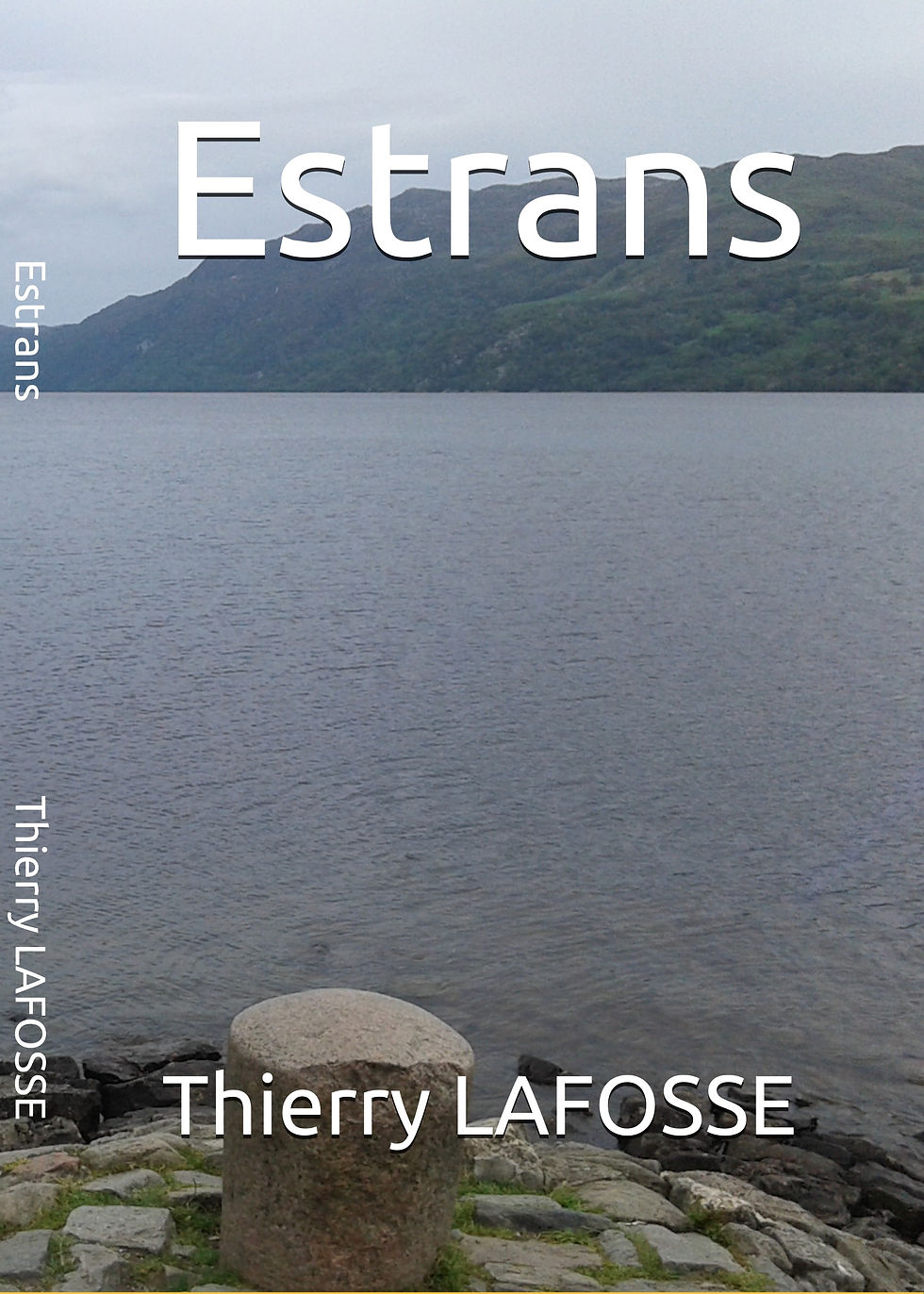 estran RECTO