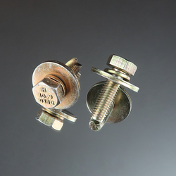 Sems Double Washer Hex Cap Screw