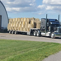 20200904_153748.jpg