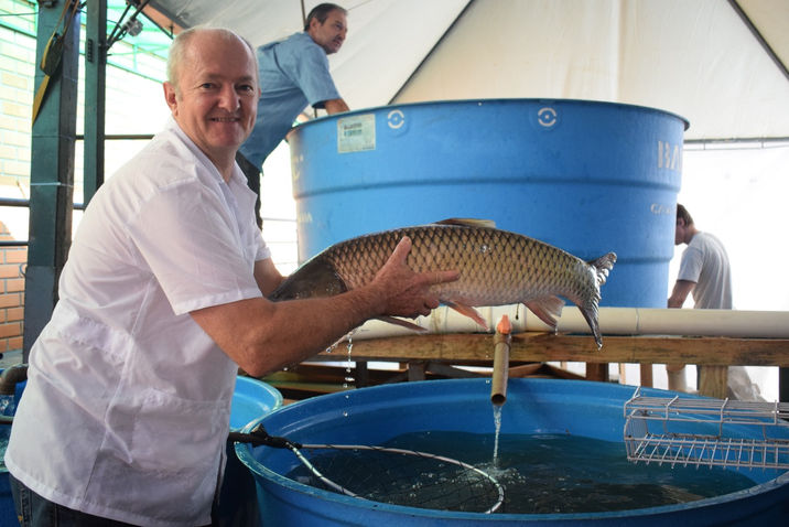 Feira do Peixe de Frederico Westphalen é aberta oficialmente