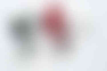 St. Francis Vs. Bishop Timon | Varsity Fed Hockey