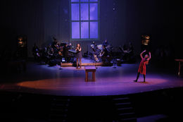 spring awakening 4.JPG