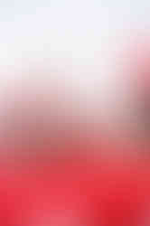 St. Francis Vs. St Joe's | Monsignor Martin Championship | Varsity Lacrosse  