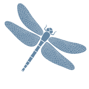 6.png