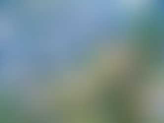 10º Domingo depois de Pentecostes