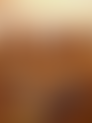 14º Domingo depois de Pentecostes