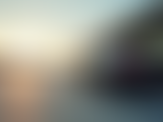 Your Guide to Sarasota Airport Transport