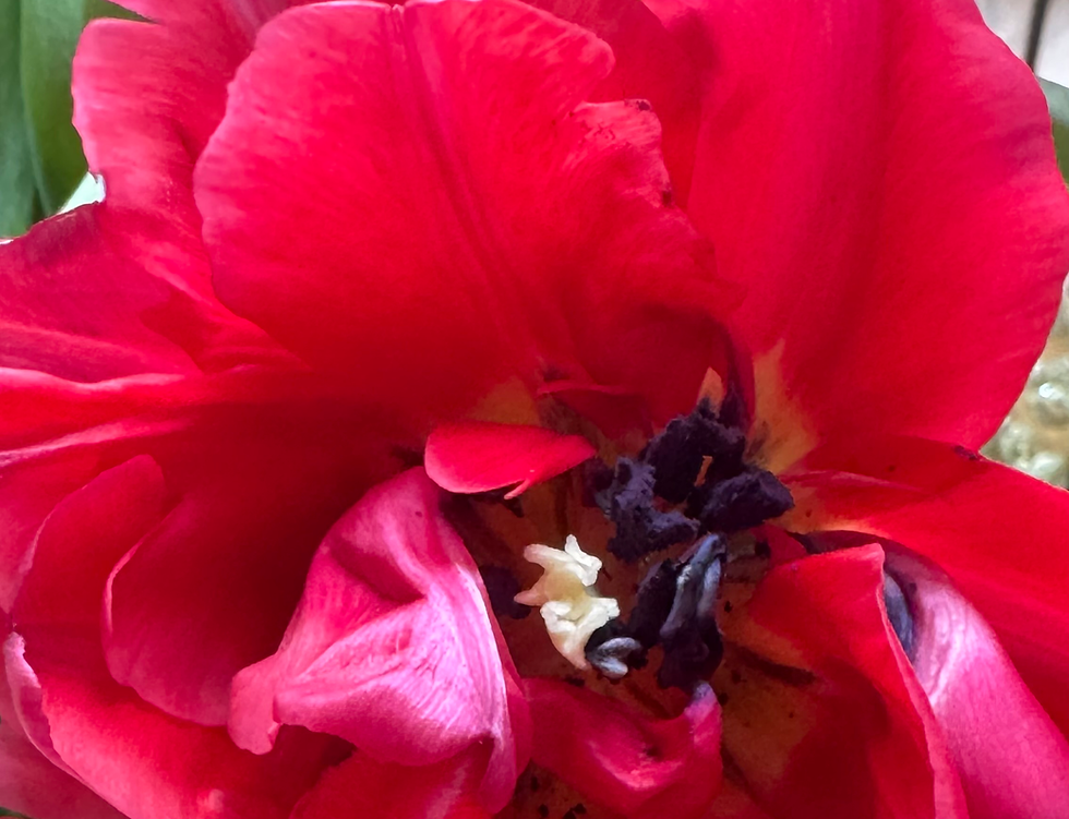 We're closed March 14th—Enjoy A Spring Break!