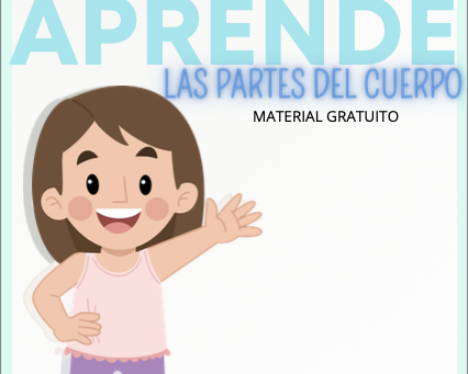 Las partes del cuerpo en español