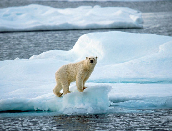 Sven-Erik Arndt-Newscom.jpg