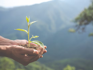 Sustentabilidade no coração do Comércio Exterior: ENCOMEX 2025 é Selo Verde com certificações IPCEAT