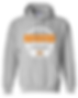 NW Destroyers Youth Hoodie Sweatshirt
