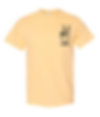 Thumbnail: Northview PAH Peace Tee 2025