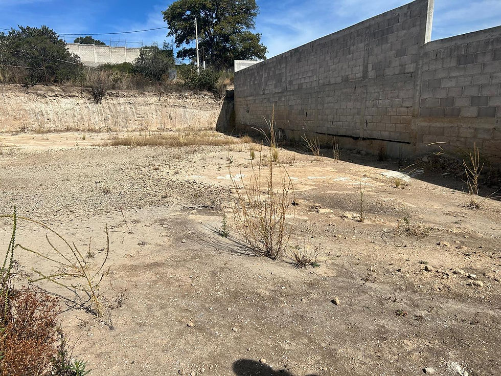 Miniatura: Terreno Paseos de Sayavedra