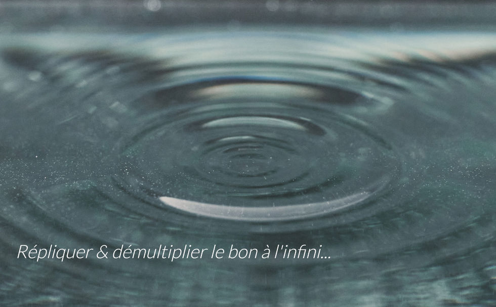 répliquer le bon, rayonner, bien-être, résonnance, résonner, raisonner, kiné