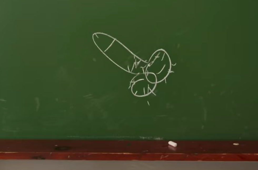 cock drawing