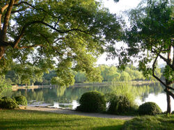 Evening solace in Hangzhou (Summer 2012)