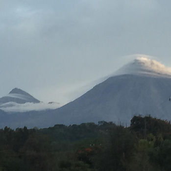 WhatsApp Image 2021-02-12 at 12.22.59 PM