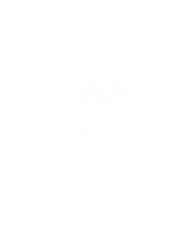 IMAGE_LINE_DRAWING.png