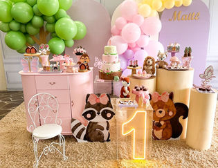 Decoração de festa de  aniversário da Conceitus Festas Infantis