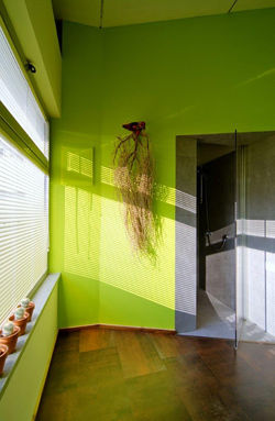 BLV Design - TA - Ella Lustig Studio - 1