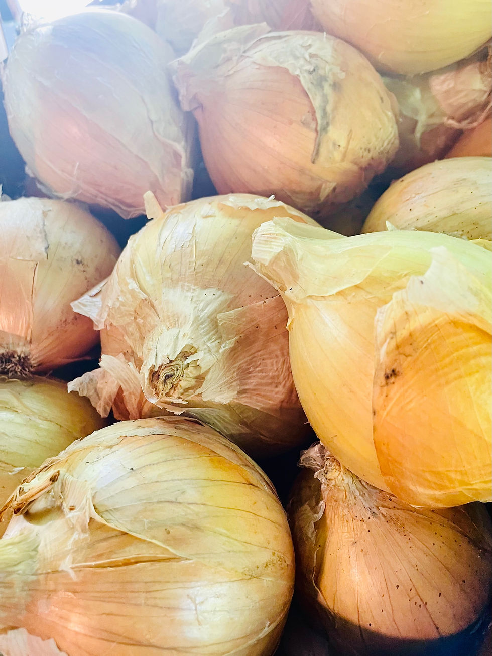 Yellow Onions