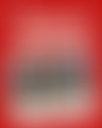 Thank you for participating in Christmas Clinic!