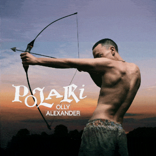 Polari - Apple Motion