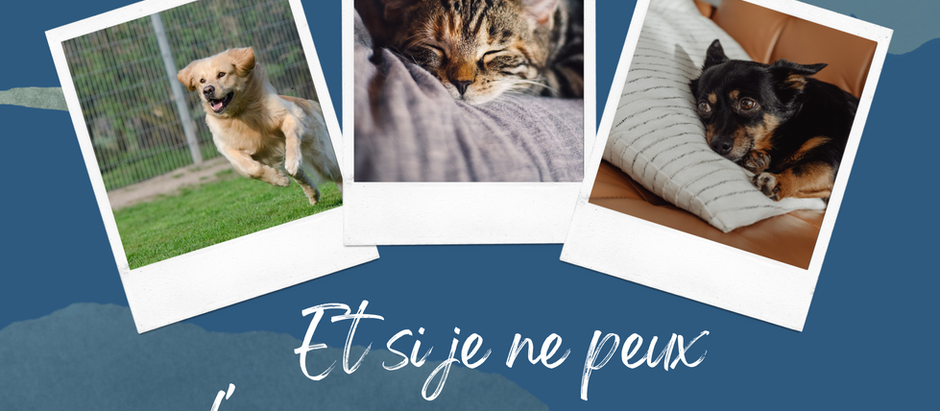 C'est les vacances ! Et si je ne peux emmener mon animal avec moi?