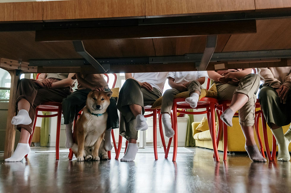Un chien sous la table de famille
