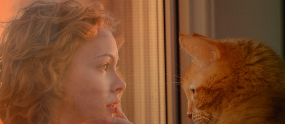 L'animal, miroir de l'homme?