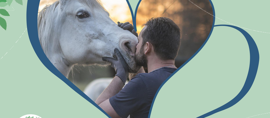 L’homme, le cheval, un lien de cœur