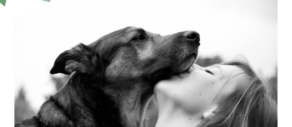 Votre chien, votre meilleur thérapeute émotionnel?
