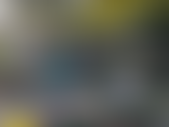 Lot 114- 2013 Jay Flight 38FKD5