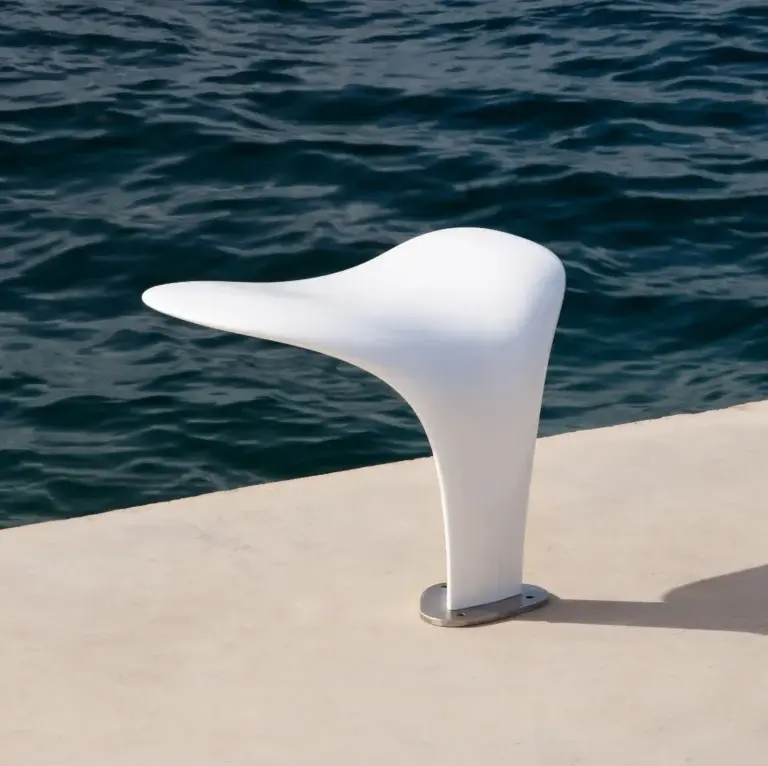 Whale Tail