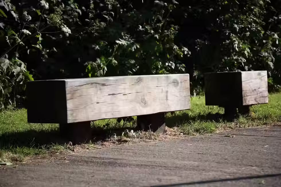 v55 bench