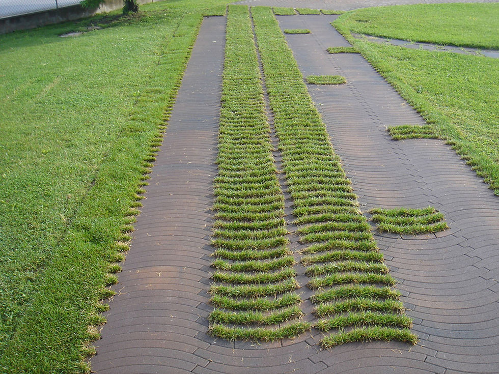 onda pavers