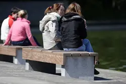 s56-Bench-Image-4 (1)