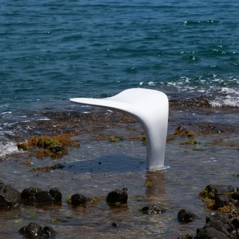 Whale Tail