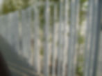 bamboo