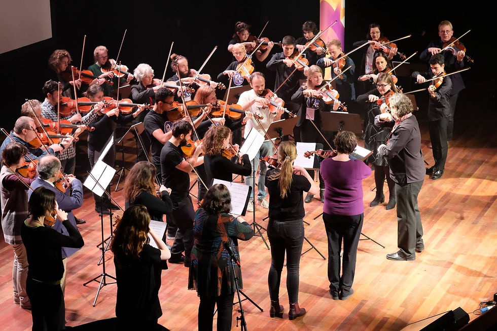 45th IVC massed violas.jpeg