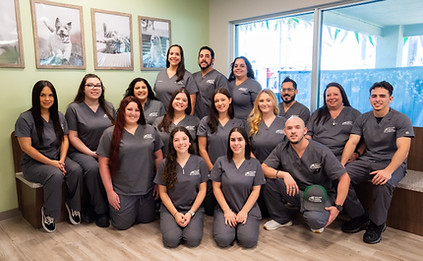 Avocado Animal Hospital Staff