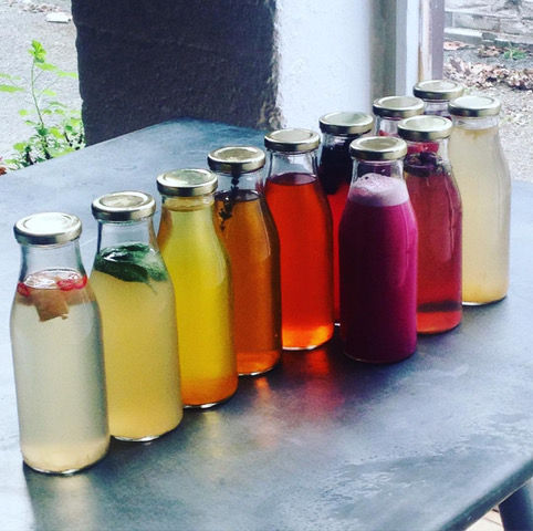 Kombucha Masterclass