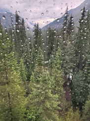 Raindrops on the window with evergreen trees and mountains of Banff National Park.