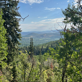 Trail view from Park City Mountain with mountains in the distance and lush forest.